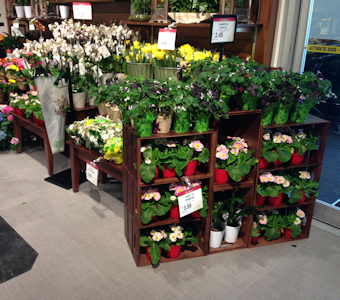 floral department displays